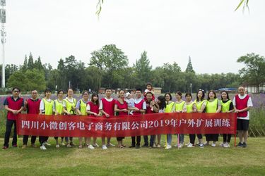 China Sichuan Small Minimally Invasive Passenger Ecommerce Ltd. Bedrijfprofiel