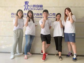 China Sichuan Small Minimally Invasive Passenger Ecommerce Ltd. Bedrijfprofiel