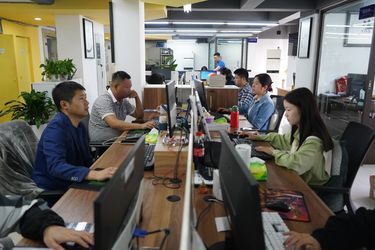 China Sichuan Small Minimally Invasive Passenger Ecommerce Ltd. Bedrijfprofiel