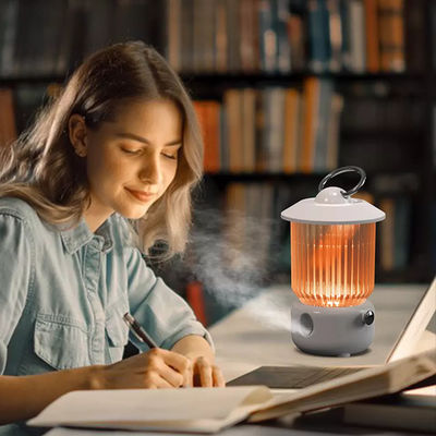 Goede prijs HOMEFISH Tafeltop USB luchtbevochtiger op batterij 260 ml online